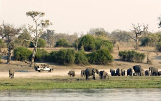 Zambia [320x200]